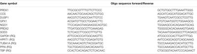 Assessing Phototoxicity in a Mammalian Cell Line: How Low Levels of Blue Light Affect Motility in PC3 Cells